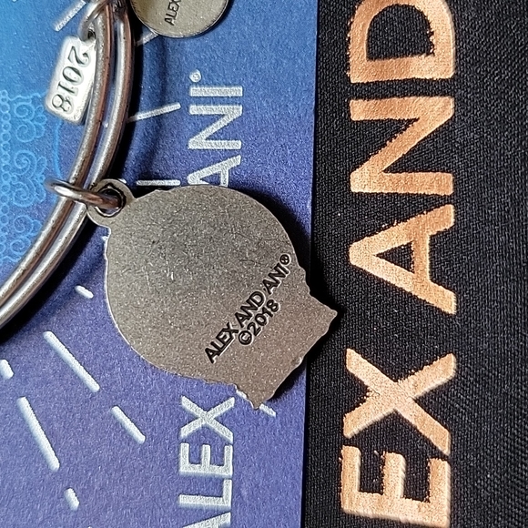 Alex and Ani Snowglobe Bracelet - Picture 3 of 7